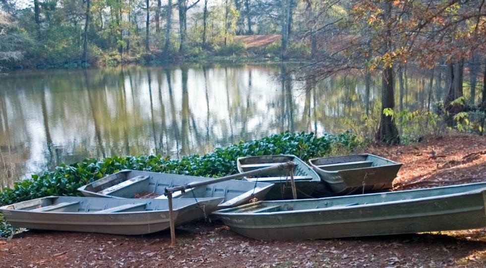 Chemin-A-Haut State Park, Louisiana, USA